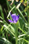 IMG_0195s.jpg