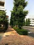 iPhone 005-20110606s.jpg